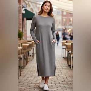 Zara”jersey dress”(NWOT)